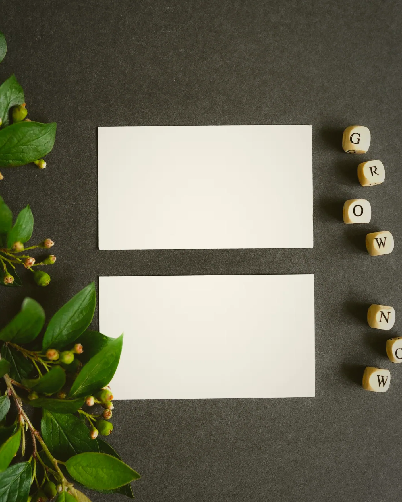 Cards fanned mid-round at a euchre table